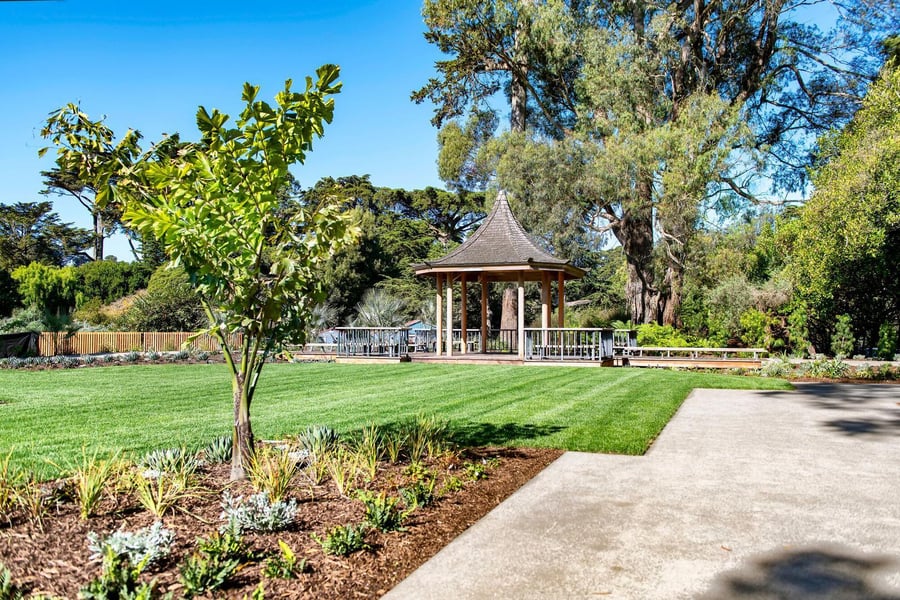 San Francisco Botanical Garden